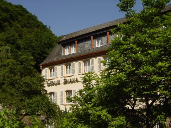 בית מלון כפרי Diana Garni