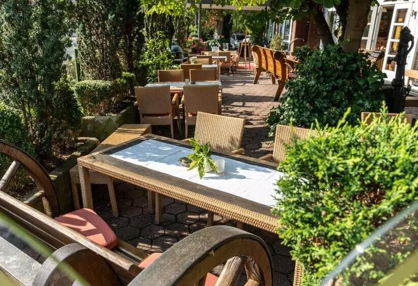 בית מלון כפרי Poker