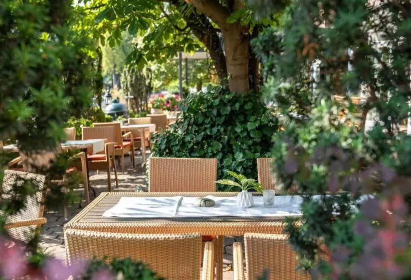 בית מלון כפרי Poker