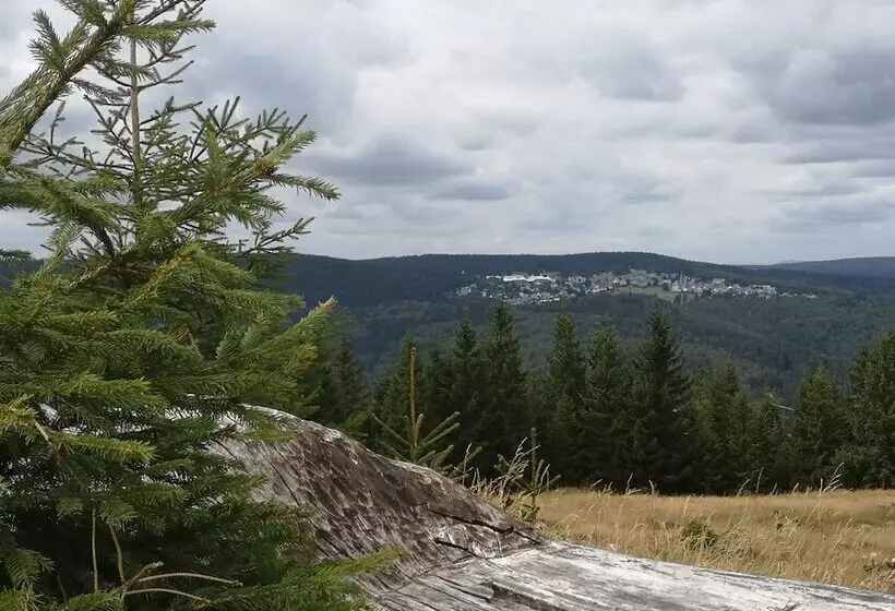 Отель Schöne Aussicht