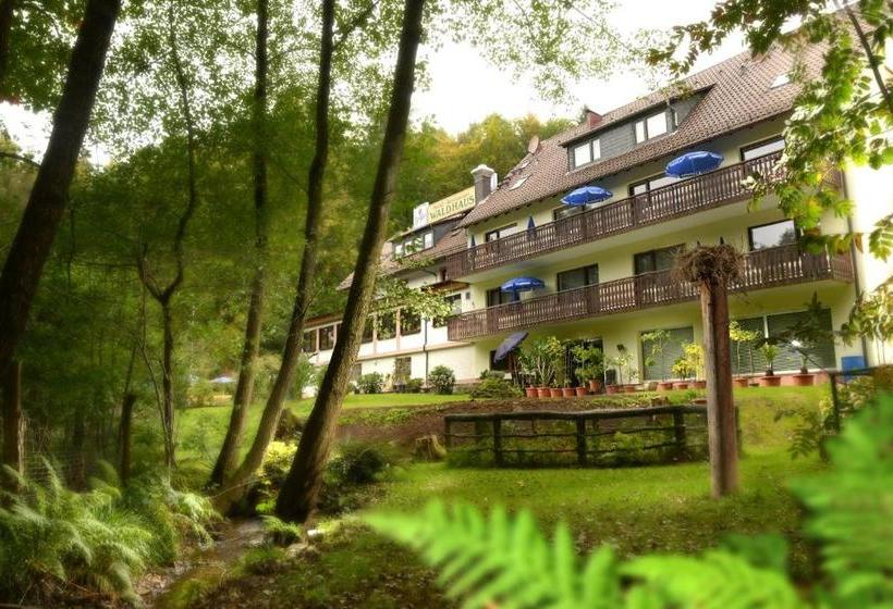 Hotel Waldhaus
