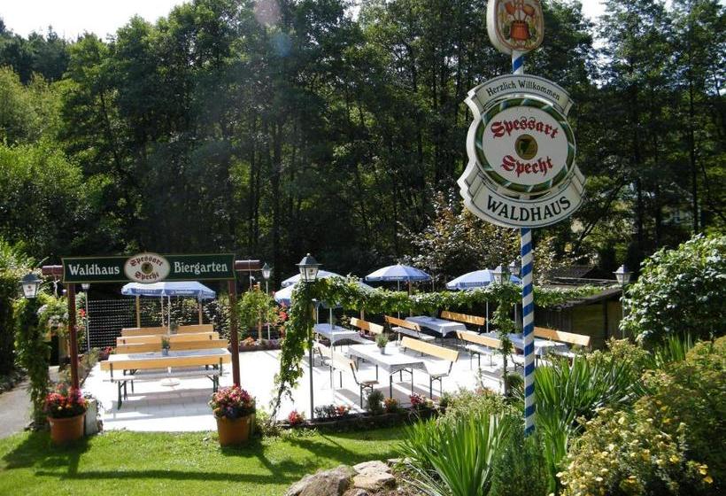 Hotel Waldhaus
