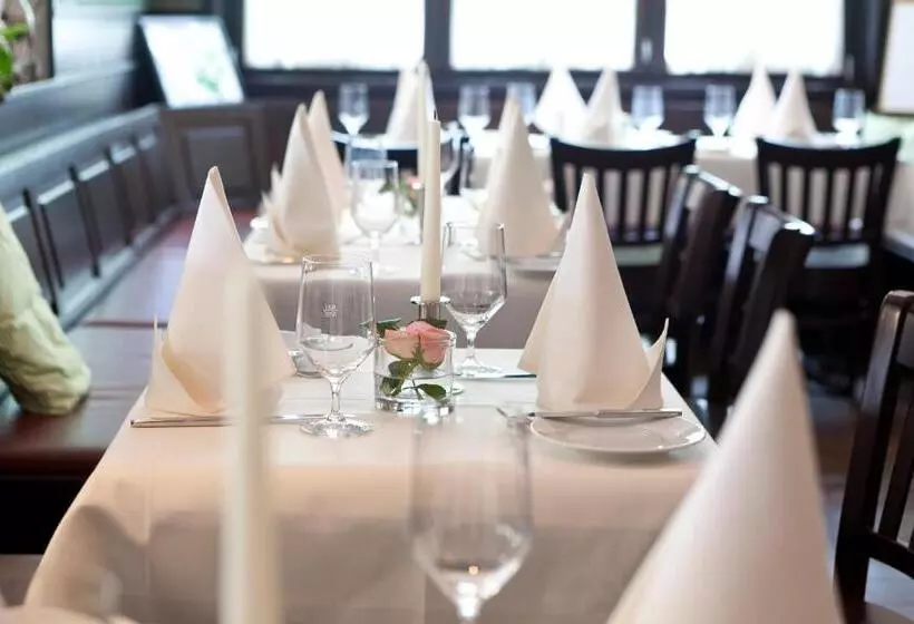 Отель Zu Den Drei Linden