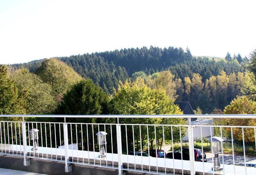 ホテル Zu Den Drei Linden