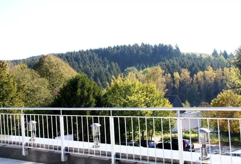 Отель Zu Den Drei Linden