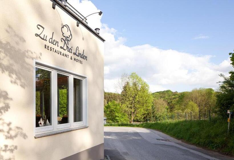 ホテル Zu Den Drei Linden