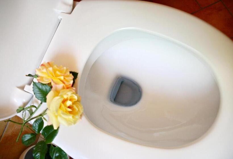 Rhön Hotel Waldcafé St. Georg