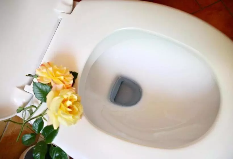 Rhön Hotel Waldcafé St. Georg