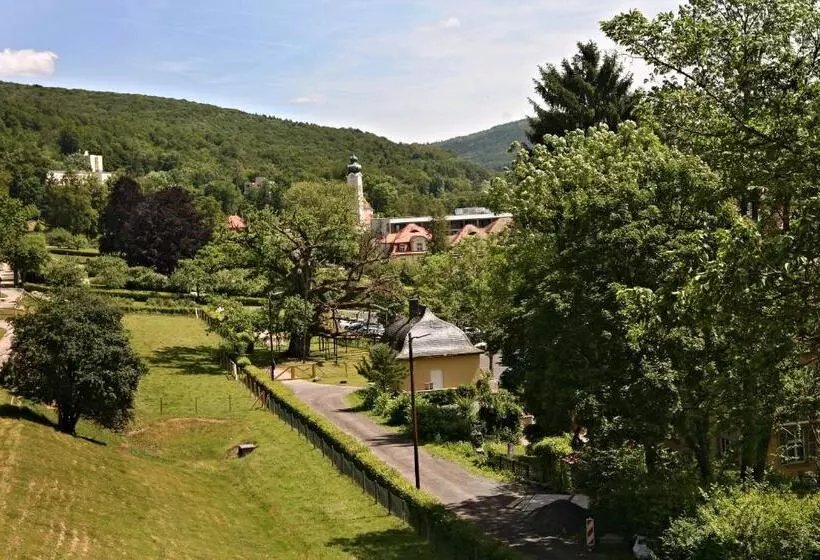 Rhön Hotel Waldcafé St. Georg