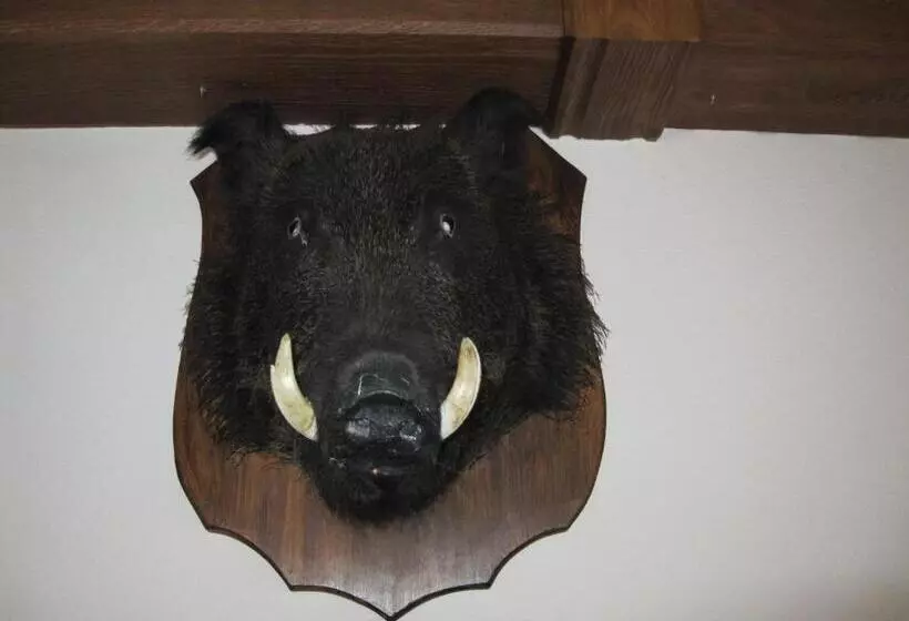 Altstadthotel Schloss Schänke Garni