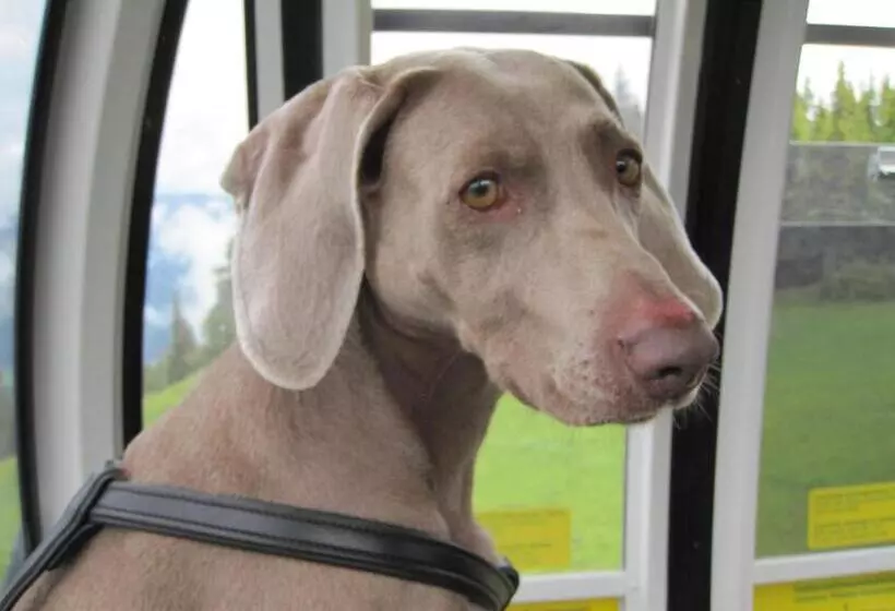 Altstadthotel Schloss Schänke Garni