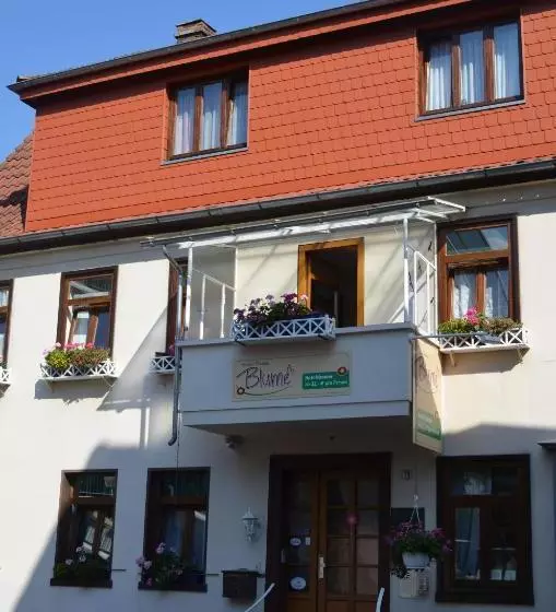 Отель Pension Blume