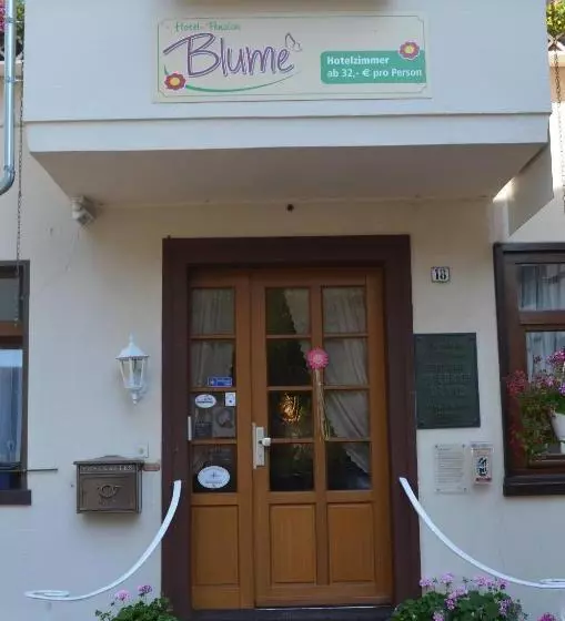 Отель Pension Blume