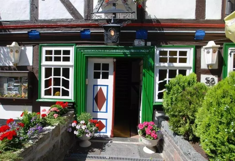 酒店 Brauner Hirsch