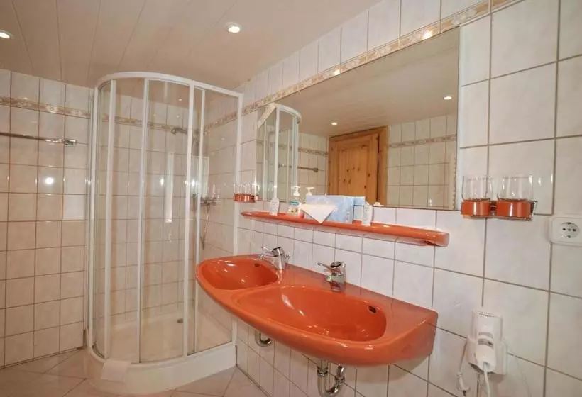 酒店 Brauner Hirsch