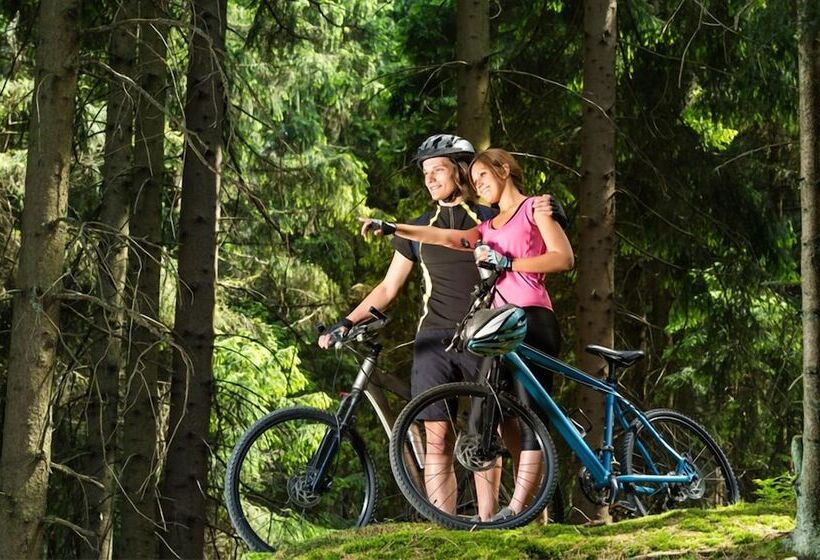 ホテル Dreimaderlhaus Das Vegetarische Boutique