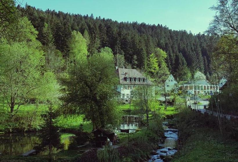 فندق Gut Lauterbad