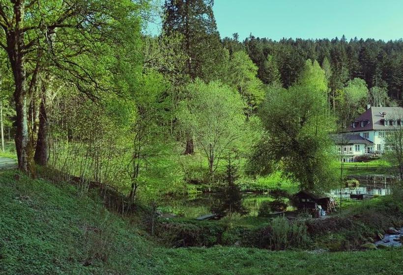 فندق Gut Lauterbad