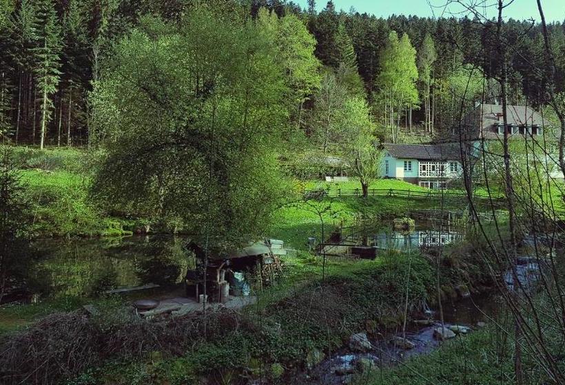 فندق Gut Lauterbad