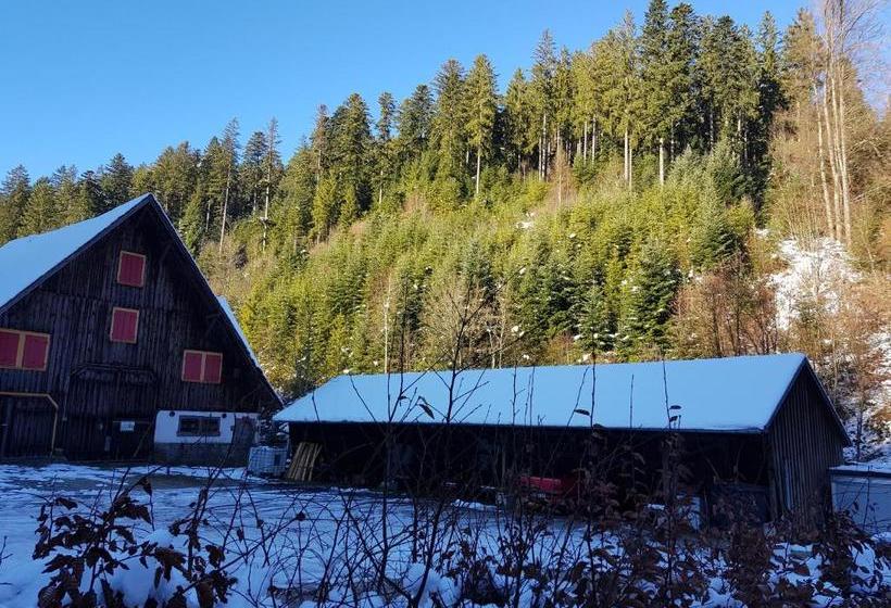 فندق Gut Lauterbad