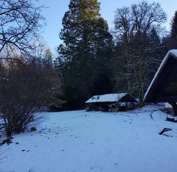 فندق Gut Lauterbad