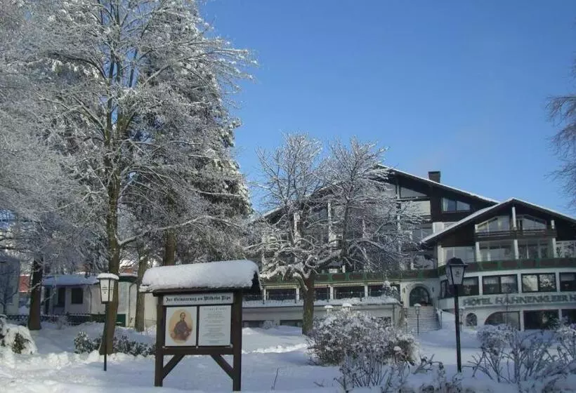 Отель Hahnenkleer Hof