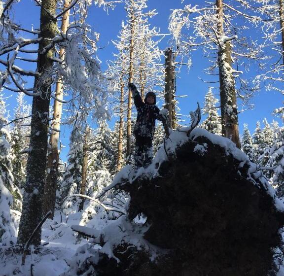 בית מלון כפרי Harzidyll