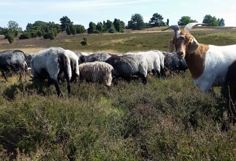 ホテル Ferienpark Auf Dem Simpel
