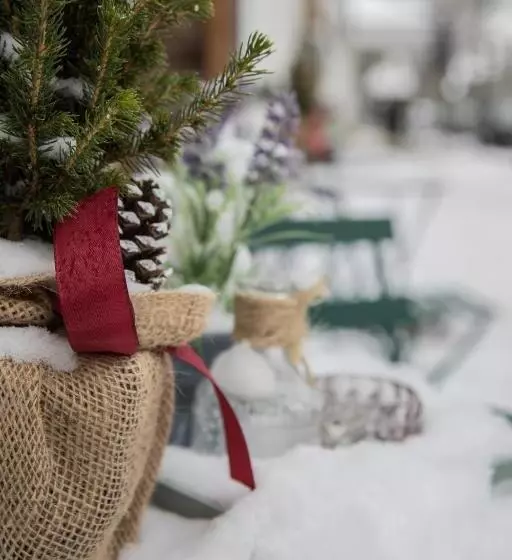 בית מלון כפרי Kiepenkerl