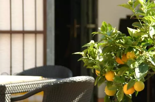 Отель Marktschänke