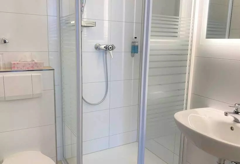 Отель Schwabenwirt