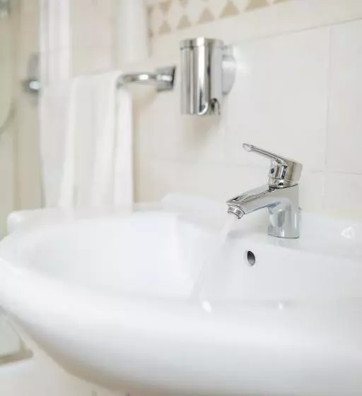 Отель Tegernseer Hof