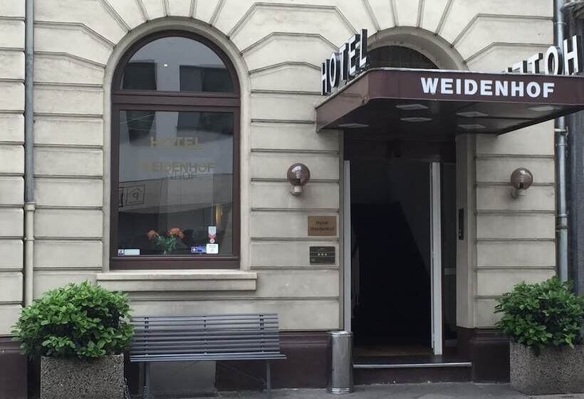 בית מלון כפרי Weidenhof