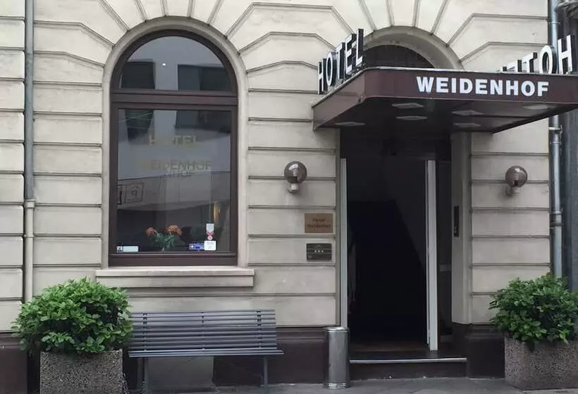 هتل Weidenhof