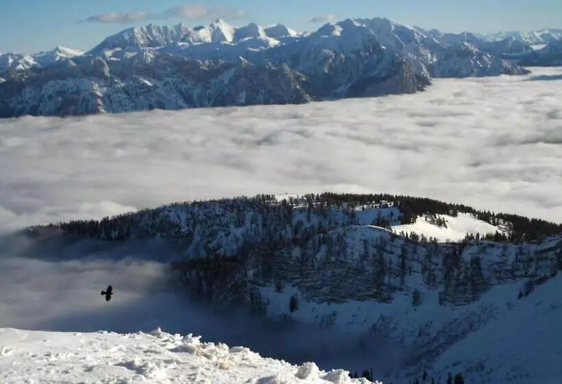 פנסיון Gästehaus Inzeller Hof