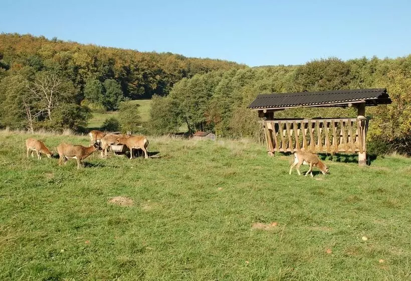 Wohlfühlhotel Der Jägerhof
