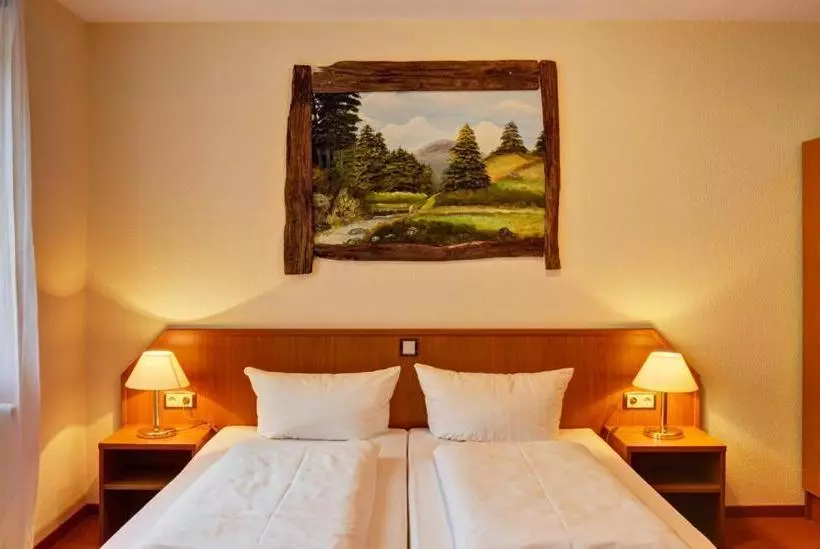 Отель Harzlodge