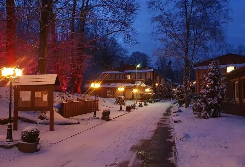 Отель Harzlodge