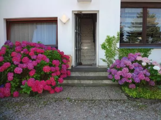 Пансион Landgasthof Auf Dem Brink