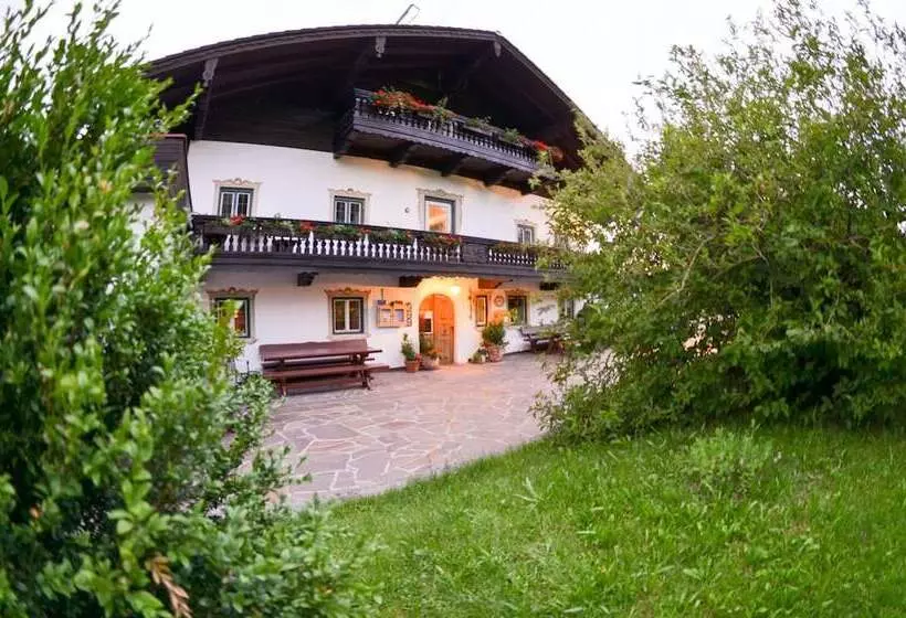 ホテル Restaurant Alpenhof