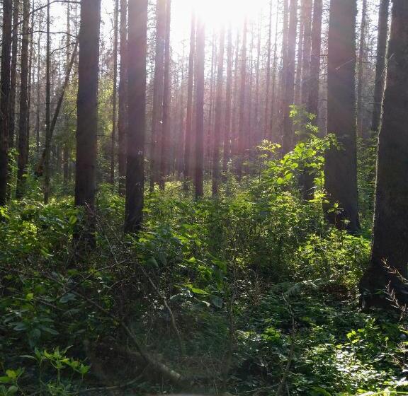 酒店 Restaurant Waldschlößchen