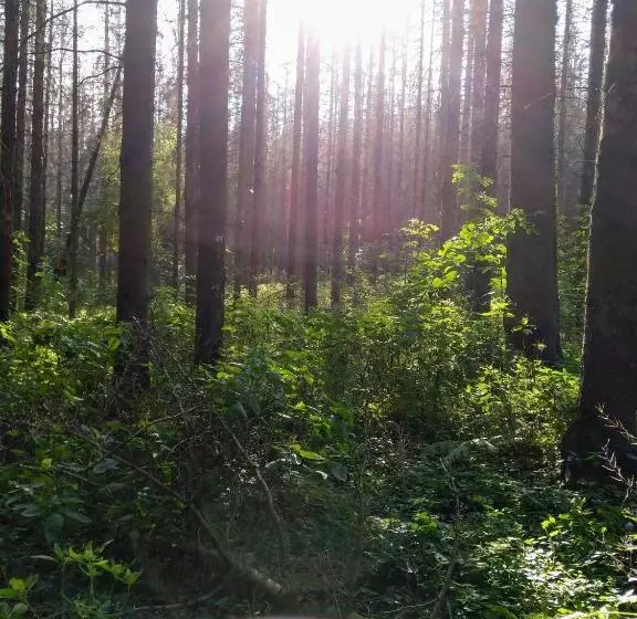 Отель Restaurant Waldschlößchen