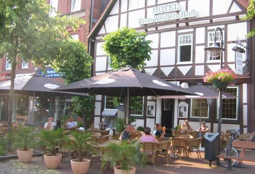فندق Zum Weißen Roß