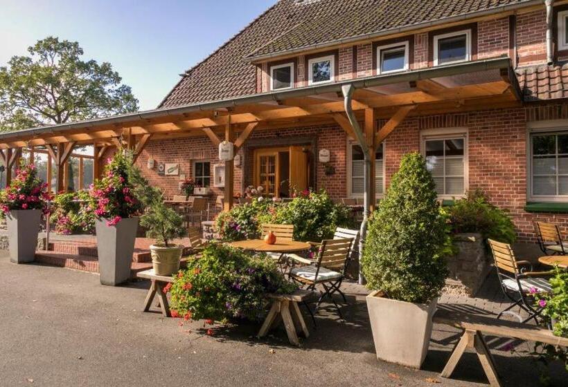 膳宿费 Brammers Landhotel Zum Wietzetal