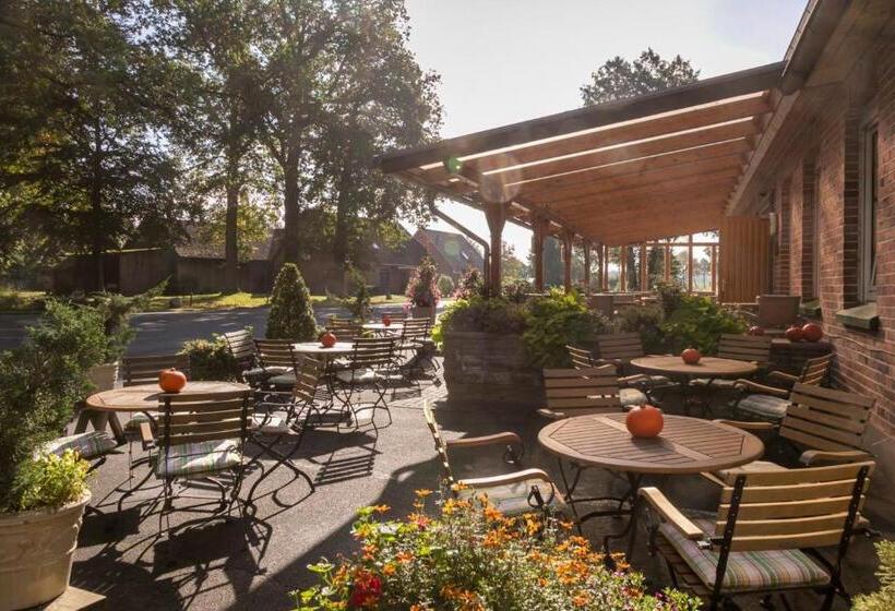 膳宿费 Brammers Landhotel Zum Wietzetal