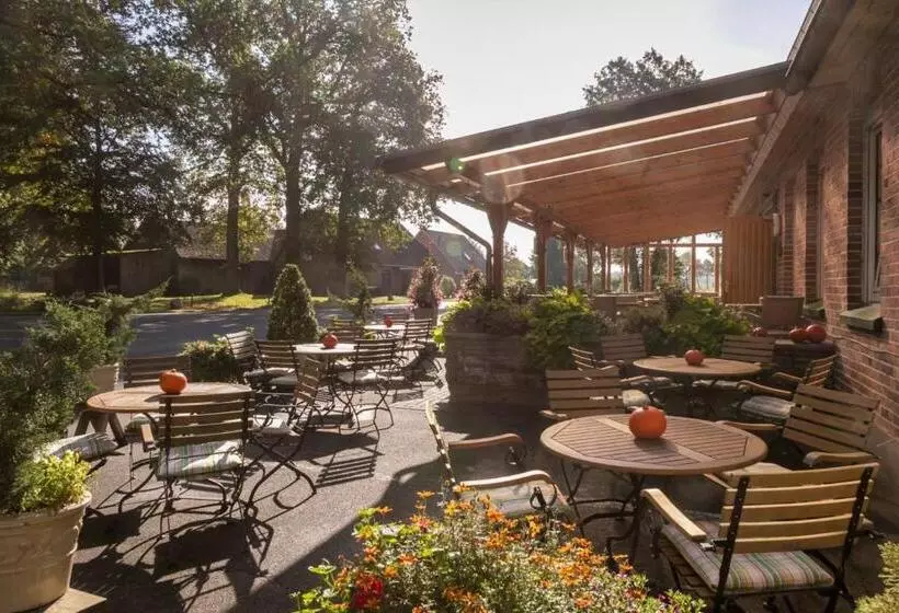 膳宿费 Brammers Landhotel Zum Wietzetal