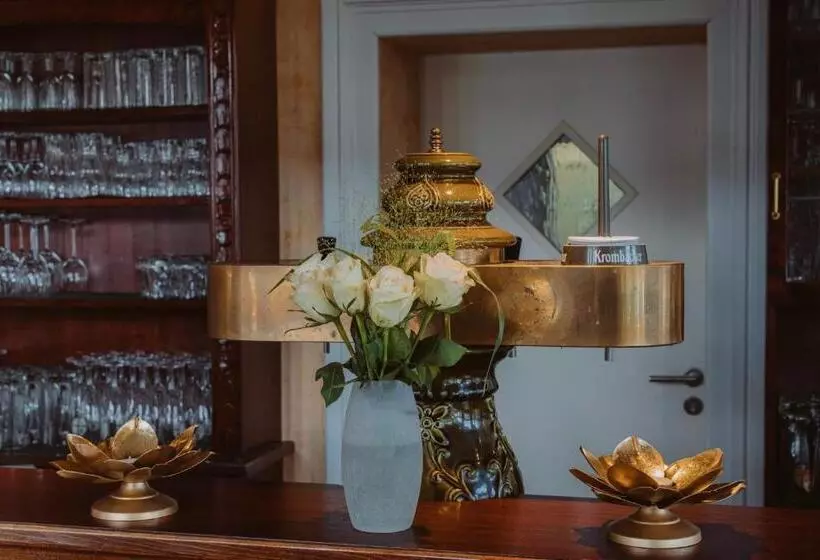 Alte Landratsvilla Hotel Bender