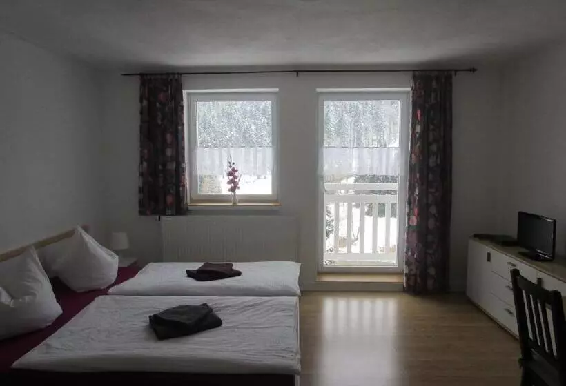 Bed and Breakfast Greizer Kammhütte Gaststätte & Pension