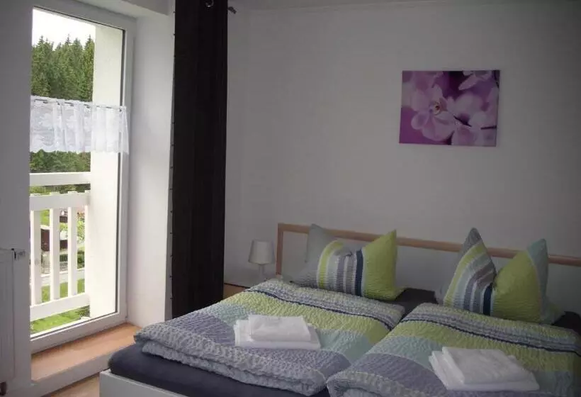 Bed and Breakfast Greizer Kammhütte Gaststätte & Pension