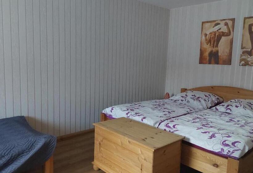 مبيت وإفطار Pension Haus Germania